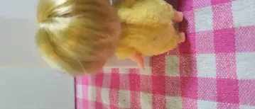 리카짱 인형 세트 (3체)