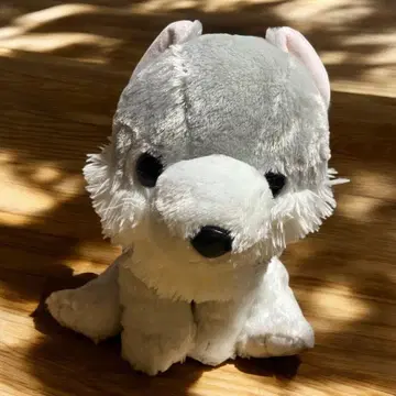 복슬복슬 늑대 포레스트