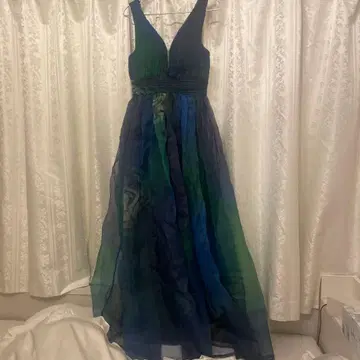 그리핀슈타인 그라데이션 드레스