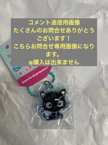 [ 댓글 회신용 ] 통통한 타입 푸치 볼체인 산리오