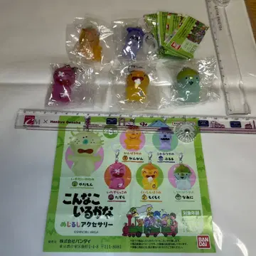 가챠의 콘나코이루카나 메지루시 액세서리 5종 세트입니다.