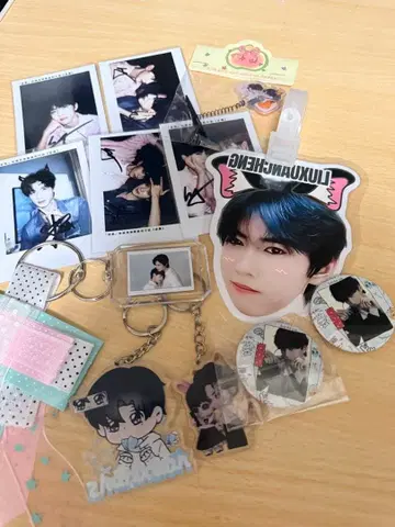 역애전헌유헌승 주변반제 12개