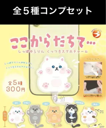 여기서부터 시작해 붙는 스마트폰 참 전 5종 컴프 세트