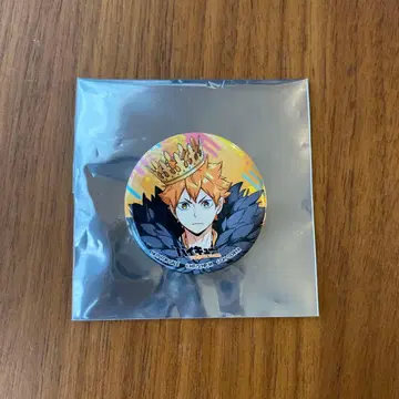 하이큐 하이드리 팬파크 캔뱃지 히나타 쇼요