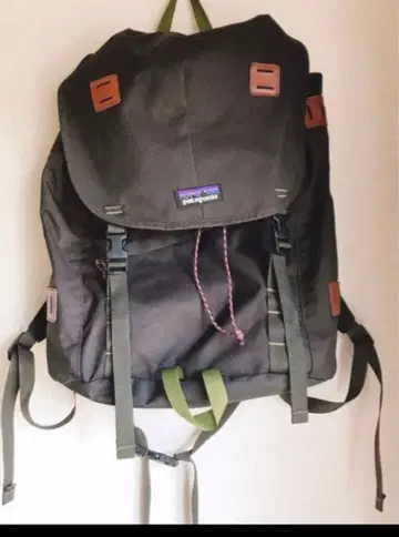 주말 가격 인하 파타고니아 Patagonia 백팩 25리터
