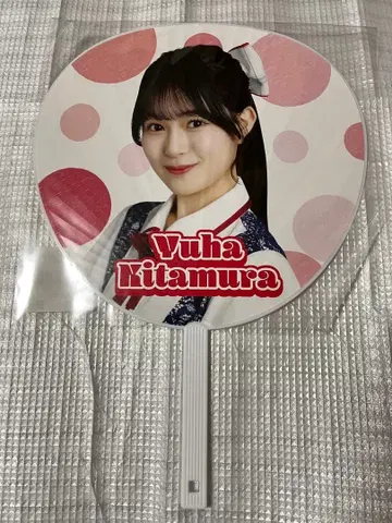 NGT48 스프링 콘서트 2025 BIG 부채 키타무라 유우하