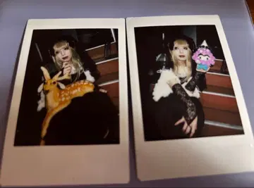 FEST VAINQUEUR GAKU 폴라로이드