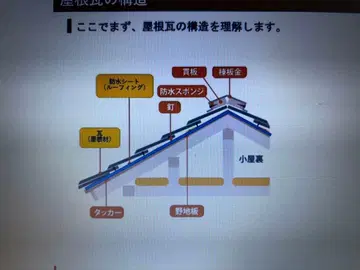 몽치치 COLORS 키체인 레오파드 무늬 할인 불가