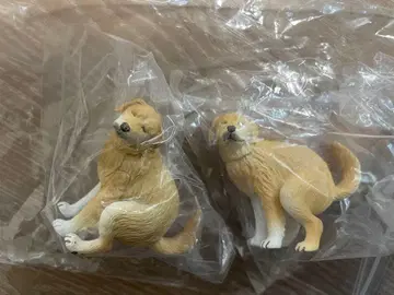 펀바리누 2 골든 리트리버 시크릿 2개