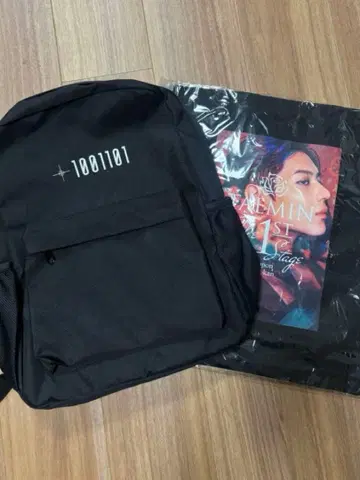 태민 1001101 백팩