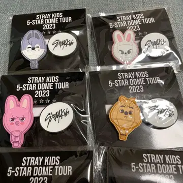 STRAYKIDS 5-STAR 2023 스키즈 skzoo 클립