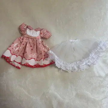 딜러제 아웃핏 1/6