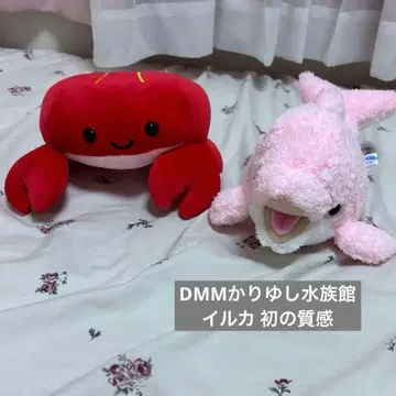 DMM 카리유시 수족관 봉제 인형 복권 게 & 돌고래