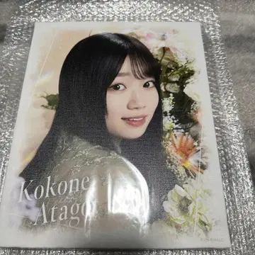 노기자카46 아타고 코쿄