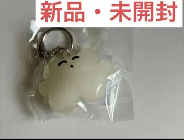 카네코 아야노 축광 키링 새상품 미개봉