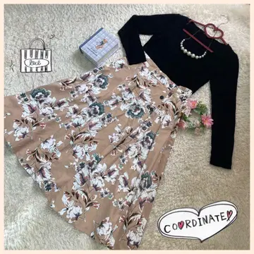 코디 세트 비스 더블 클로젯 로페피크닉 그로브 계통