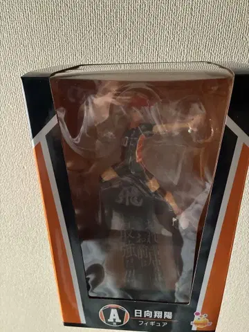 Happy 복권 A상 히나타 쇼요