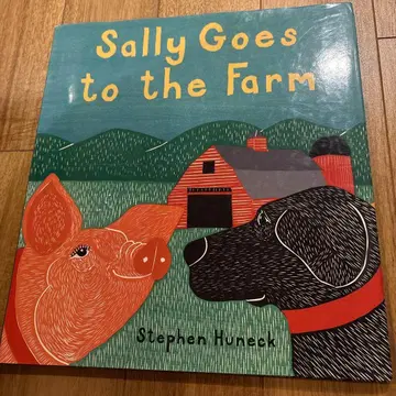 [ 절판 희귀 ] 스티븐 휴넥 영어 그림책 희귀 도서 레어 외국도서