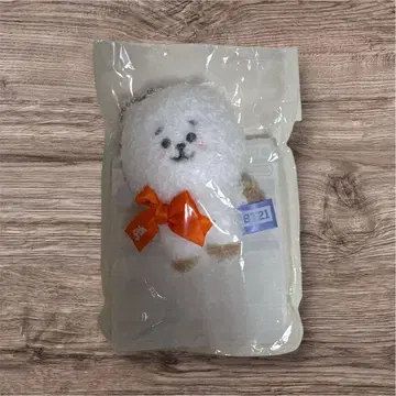 BT21 5주년 아트전 한정판 봉제 인형 마스코트 RJ(진)