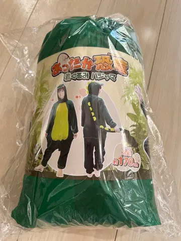 따뜻한 공룡 잠옷