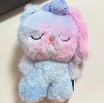 RIIZE 원빈 토냐도크 midnight mirages