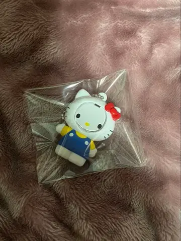 얼굴 부착 키링 키티