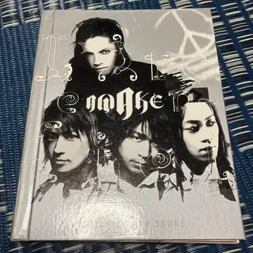 라르크앙시엘 AWAKE 밴드 스코어