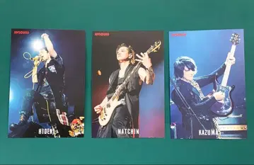 SIAMSOPHIA 엽서 SIAM SHADE JOYSOUND 사카이