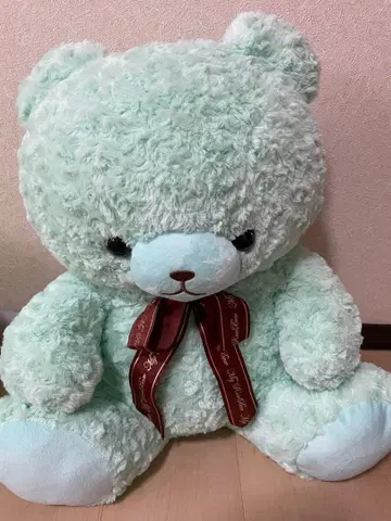 베어 봉제 인형