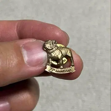 Mack truck 맥트럭 75주년 기념 빈티지 핀 텐더 로인