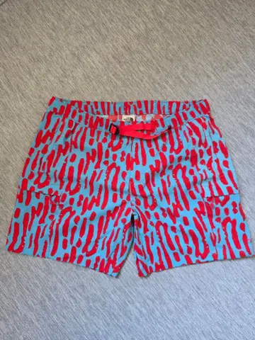 THE NORTH FACE 숏팬츠 파랑빨강 패턴