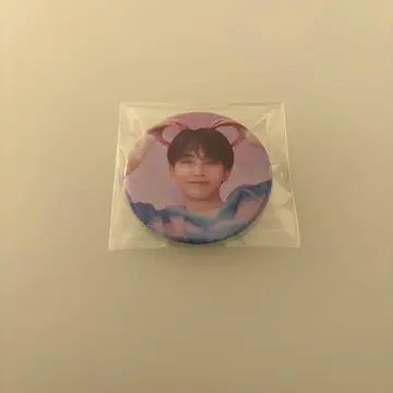 SEVENTEEN 정한 캔뱃지 캔배치 dream