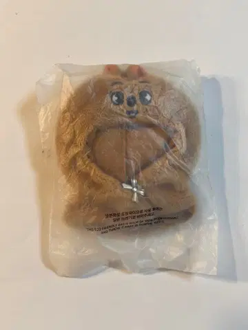 HAN QUOKKA 아웃핏