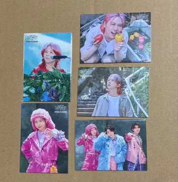 미세스 바벨탑 포토카드 5세트