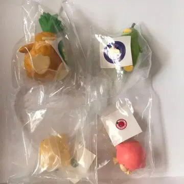 트리피컬즈 세트