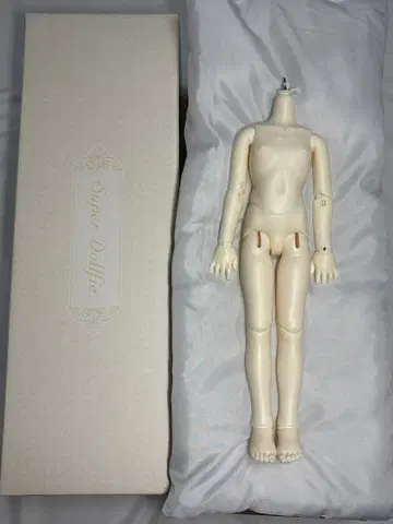 보크스 풀 초이스 SDM 여아 바디만 PS 화이트 2025년