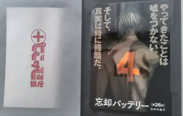 망각 배터리 메탈 플레이트 치하야 슌페이