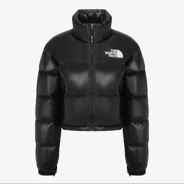 The North Face 블랙 숏 다운 자켓