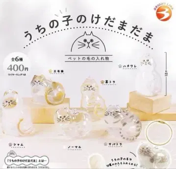 우리 애의 털뭉치 전 6종 세트