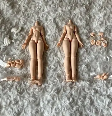 ONE MORE Sugary Girls 바디, 부품만 카미쿠라 에쿠