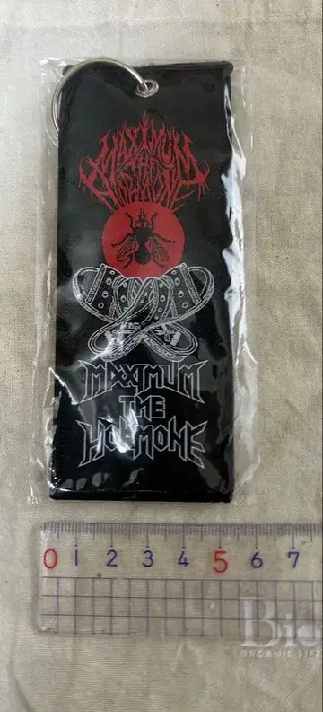 맥시멈 더 호르몬 플라이택