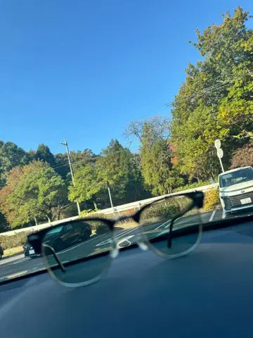 rayban 클럽마스터 RB3016 13544B