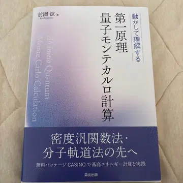 제1원리 양자 몬테카를로 계산