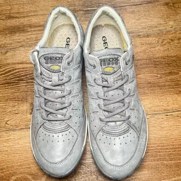 Geox 그레이 가죽 스니커즈