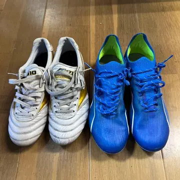 모렐리아 2 화이트/골드 2족 세트