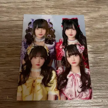 큐르링 해봐 환이네 치바 유나 신기루 아뮤 시마무라 우타 증명사진