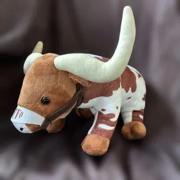 Pennington Bear 텍사스 소 BEVO 봉제 인형