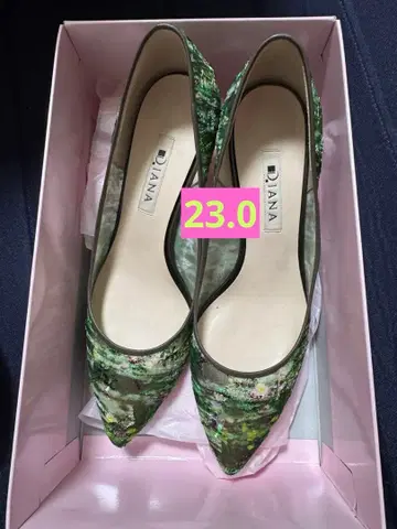 DIANA 회화 시리즈 펌프스 모네 수련 23