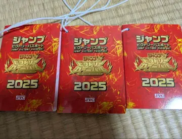 2025년 3권 점프 빅토리 카니발 여권