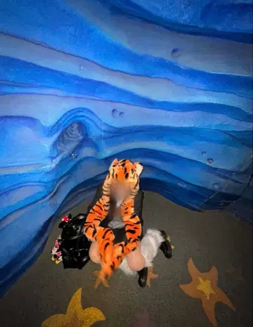 디즈니 티거 팬캡